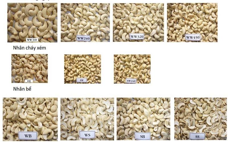 cac loai hat dieu xuat khau